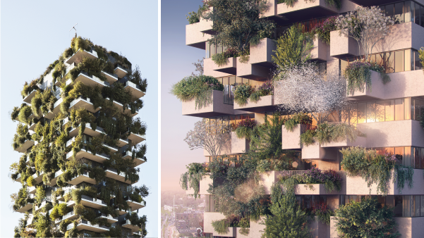 URBAN FORESTS Popping Up Worldwide to Combat Climate Change - INT Design