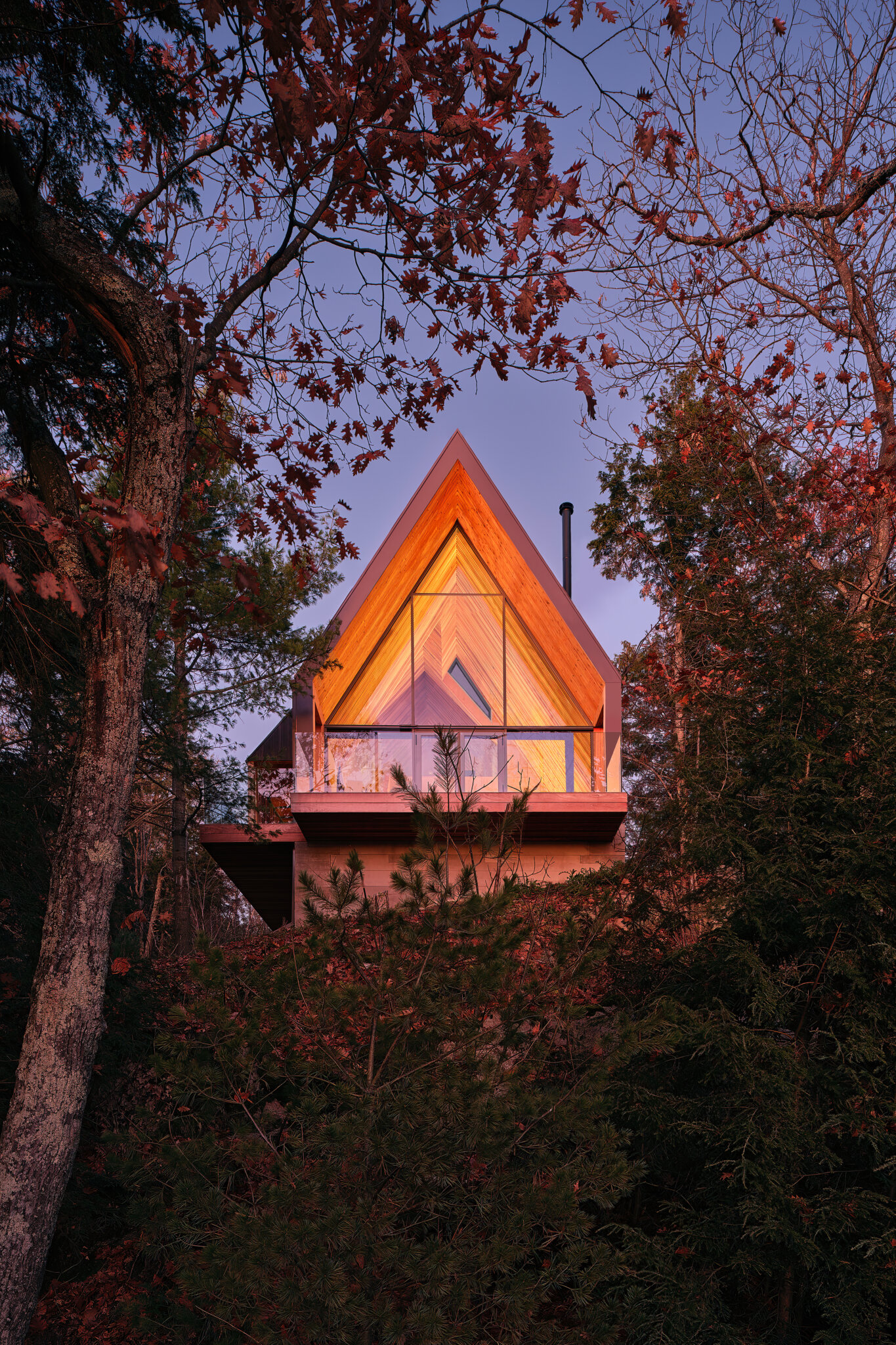 Bunkie on the Hill
