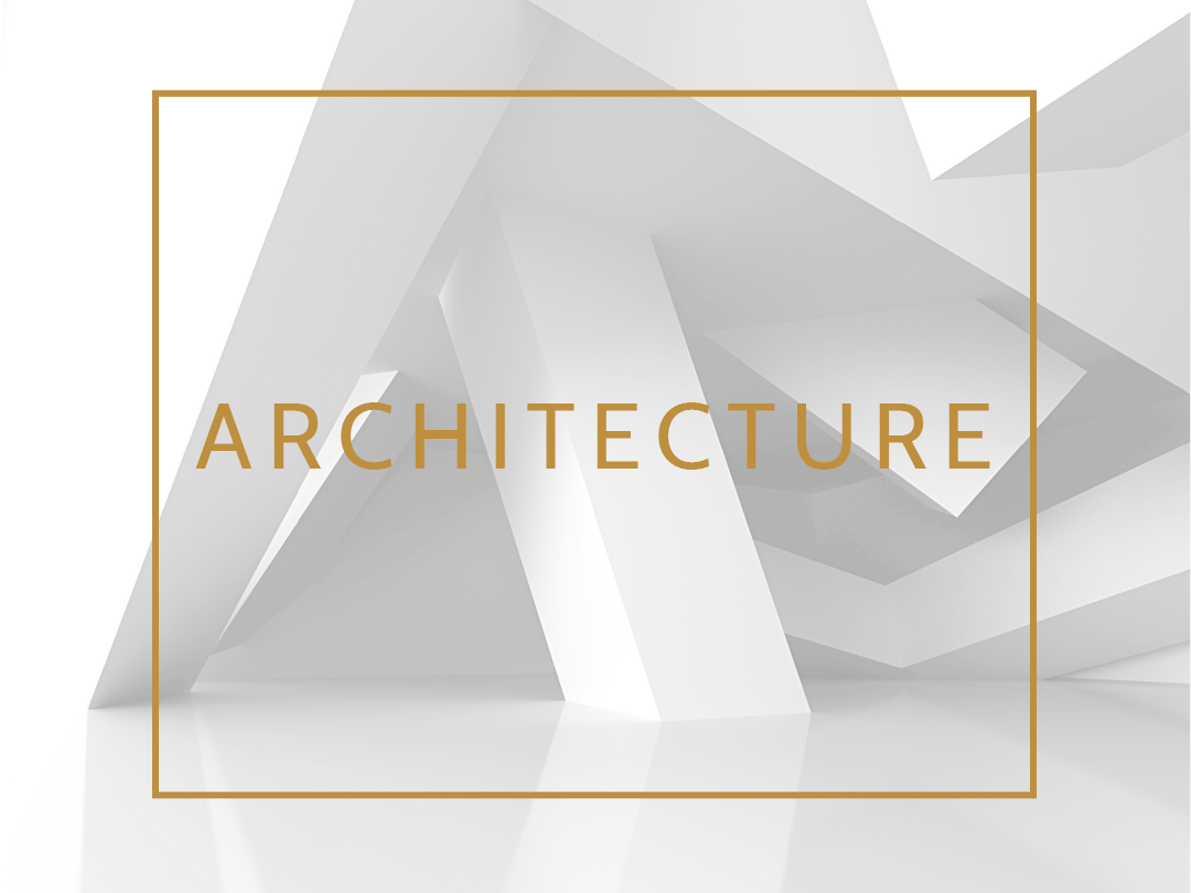 The disciplines